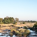 Kruger 249 copia